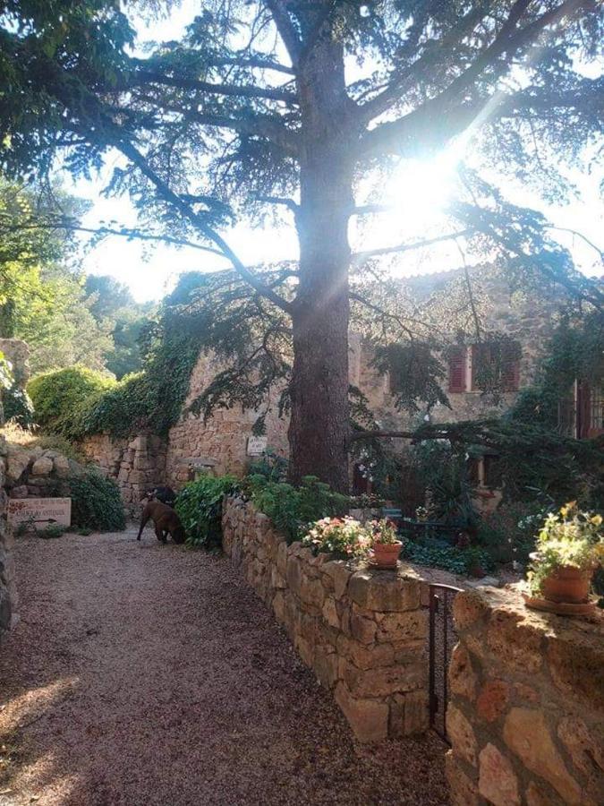 Bed and Breakfast 4 Safraniers à Sillans-la-Cascade Extérieur photo